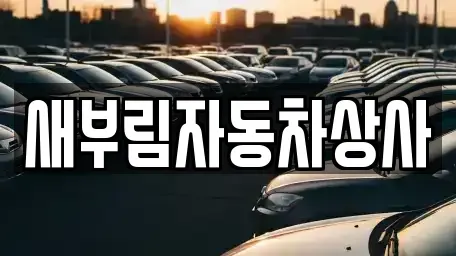 대구광역시 수성구 파동 중고차매매 전문 새부림자동차상사