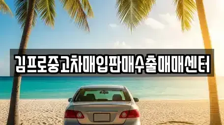 대구광역시 수성구 파동 중고차매입 전문 김프로중고차매입판매수출매매센터