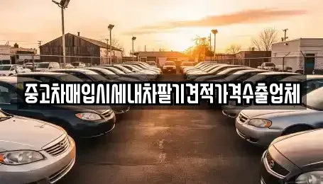 대구광역시 수성구 파동 중고차매입 전문 중고차매입시세내차팔기견적가격수출업체
