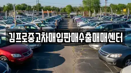 대전 동구 가양동 중고차 전문 김프로중고차매입판매수출매매센터