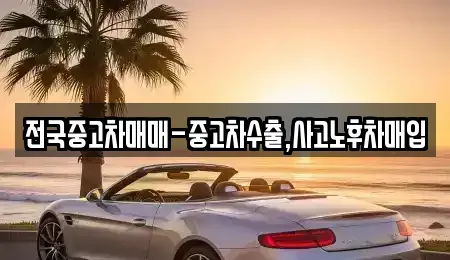 대전 동구 가양동 중고차 전문 전국중고차매매-중고차수출,사고노후차매입