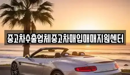 대전 동구 가양동 중고차 전문 중고차수출업체중고차매입매매지원센터