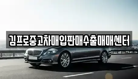 대전 동구 신안동 중고차매입 전문 김프로중고차매입판매수출매매센터