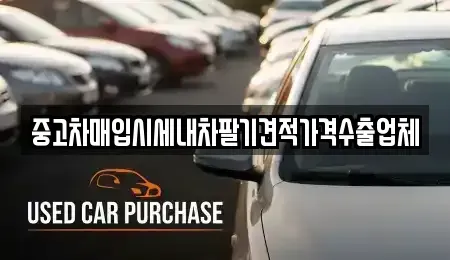 대전 동구 신안동 중고차매입 전문 중고차매입시세내차팔기견적가격수출업체