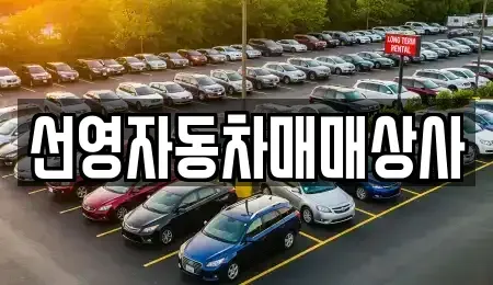 대전 유성구 원신흥동 중고차 전문 선영자동차매매상사