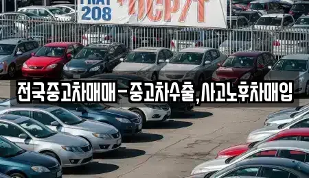 대전 유성구 원신흥동 중고차 전문 전국중고차매매-중고차수출,사고노후차매입