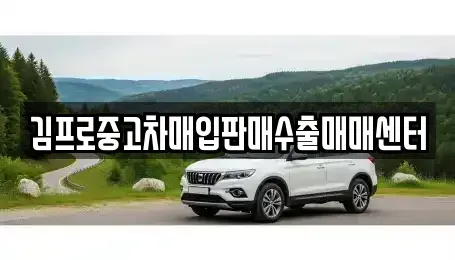 대전 유성구 원신흥동 중고차매입 전문 김프로중고차매입판매수출매매센터