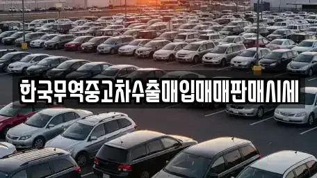 대전 유성구 원신흥동 중고차매입 전문 한국무역중고차수출매입매매판매시세