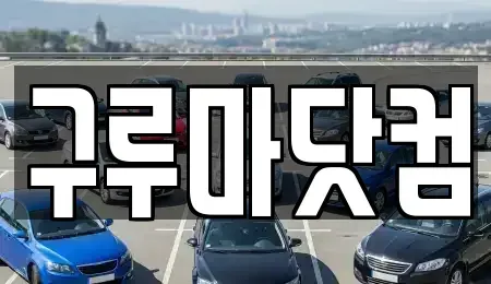 대전 유성구 하기동 장기렌트카 전문 구루마닷컴
