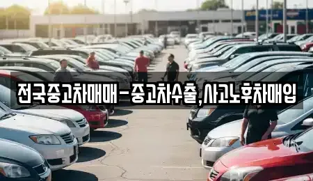 대전 유성구 하기동 중고차 전문 전국중고차매매-중고차수출,사고노후차매입