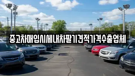 대전 유성구 하기동 중고차매입 전문 중고차매입시세내차팔기견적가격수출업체