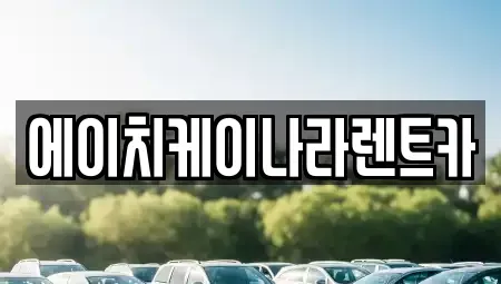 대전광역시 유성구 구암동 렌트카 전문 에이치케이나라렌트카