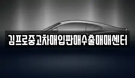 대전광역시 유성구 세동 중고차 전문 김프로중고차매입판매수출매매센터