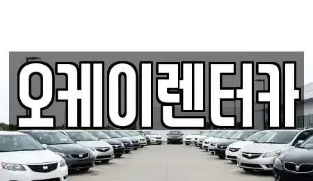 대전광역시 중구 금동 렌트카 전문 오케이렌터카