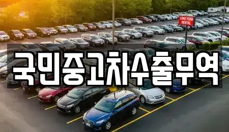 대전광역시 중구 금동 중고차매매 전문 국민중고차수출무역