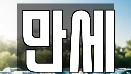 대전광역시 중구 정생동 렌트카,단기렌트카,장기렌트카,중고차,중고차매매,중고차매입