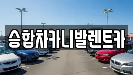 대전광역시 중구 정생동 렌트카 전문 승합차카니발렌트카