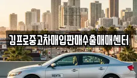 대전광역시 중구 정생동 중고차 전문 김프로중고차매입판매수출매매센터