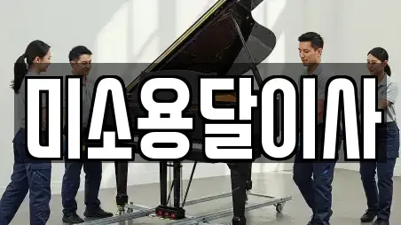 미소용달이사