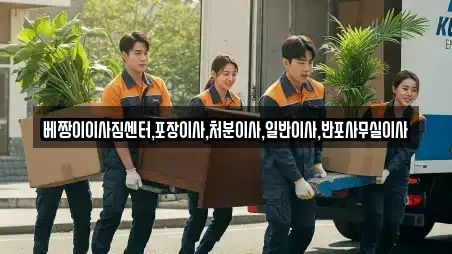 베짱이이사짐센터,포장이사,처분이사,일반이사,반포사무실이사
