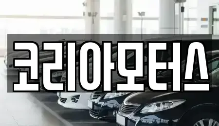 부산 강서구 명지동 중고차 전문 코리아모터스