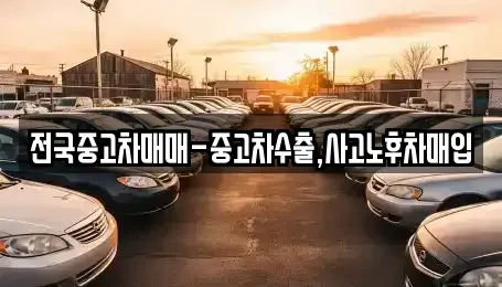 부산 강서구 명지동 중고차매입 전문 전국중고차매매-중고차수출,사고노후차매입