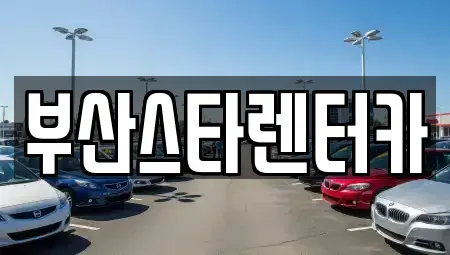 부산 금정구 렌트카 전문 부산스타렌터카