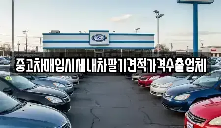 부산 금정구 중고차매입 전문 중고차매입시세내차팔기견적가격수출업체