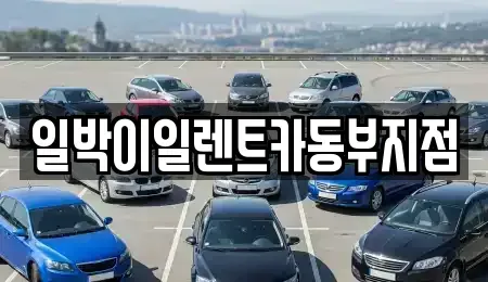 부산 남구 대연동 렌트카 전문 일박이일렌트카동부지점