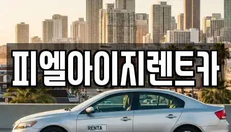 부산 남구 대연동 렌트카 전문 피엘아이지렌트카