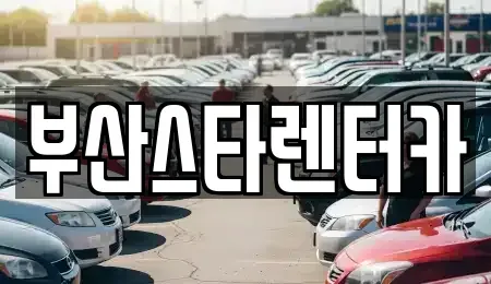 부산 동래구 온천동 렌트카 전문 부산스타렌터카