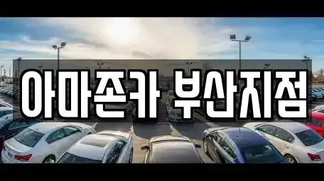 부산 동래구 온천동 장기렌트카 전문 아마존카 부산지점