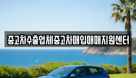 부산 동래구 온천동 중고차 전문 중고차수출업체중고차매입매매지원센터