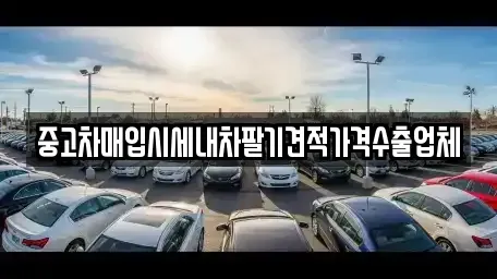 부산 동래구 온천동 중고차매입 전문 중고차매입시세내차팔기견적가격수출업체