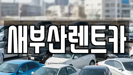 부산 중구 남포동5가 렌트카 전문 새부산렌트카