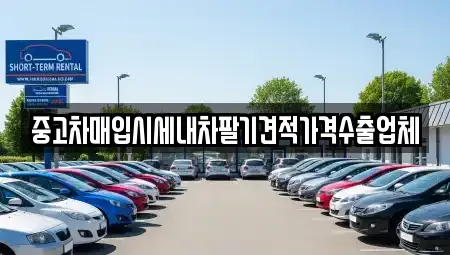 부산 중구 남포동5가 중고차매입 전문 중고차매입시세내차팔기견적가격수출업체