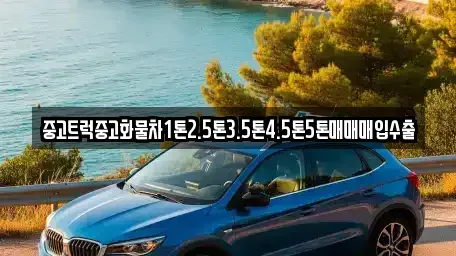 부산광역시 남구 용당동 중고차매입 전문 중고트럭중고화물차1톤2.5톤3.5톤4.5톤5톤매매매입수출