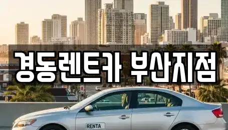 부산광역시 수영구 단기렌트카 전문 경동렌트카 부산지점