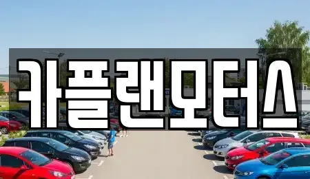 부산광역시 수영구 장기렌트카 전문 카플랜모터스