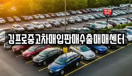 부산광역시 수영구 중고차매매 전문 김프로중고차매입판매수출매매센터