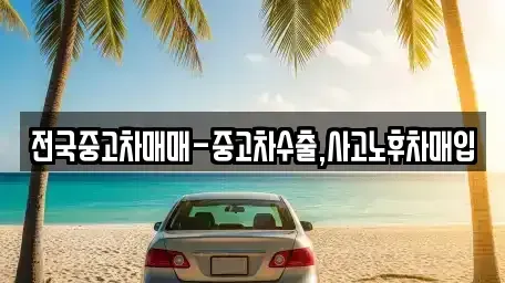 부산광역시 수영구 중고차매매 전문 전국중고차매매-중고차수출,사고노후차매입