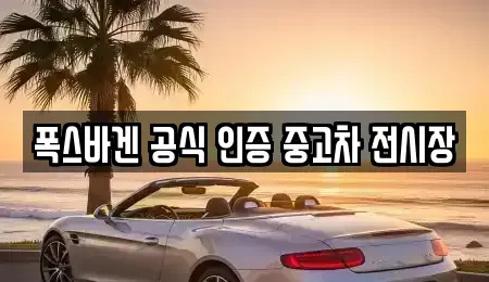 부산광역시 수영구 중고차매매 전문 폭스바겐 공식 인증 중고차 전시장