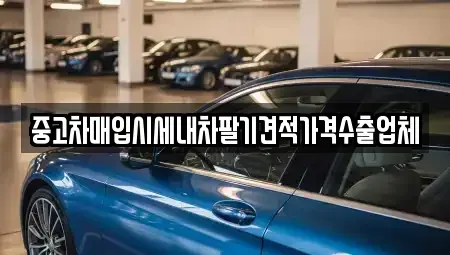 부산광역시 수영구 중고차매입 전문 중고차매입시세내차팔기견적가격수출업체