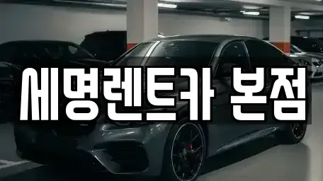 부산광역시 영도구 봉래동5가 렌트카 전문 세명렌트카 본점