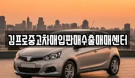 부산광역시 영도구 봉래동5가 중고차매매 전문 김프로중고차매입판매수출매매센터
