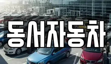 부산광역시 영도구 봉래동5가 중고차매매 전문 동서자동차