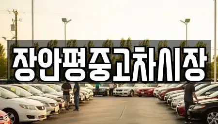 서울 서대문구 충정로3가 중고차매매 전문 장안평중고차시장