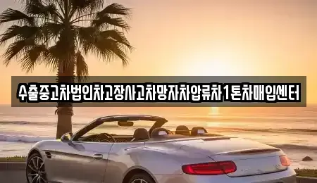 서울 서대문구 충정로3가 중고차매입 전문 수출중고차법인차고장사고차망자차압류차1톤차매입센터