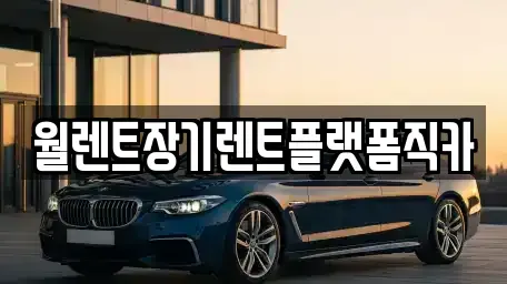 서울 서대문구 홍제동 장기렌트카 전문 월렌트장기렌트플랫폼직카