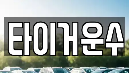 서울 송파구 석촌동 단기렌트카 전문 타이거운수